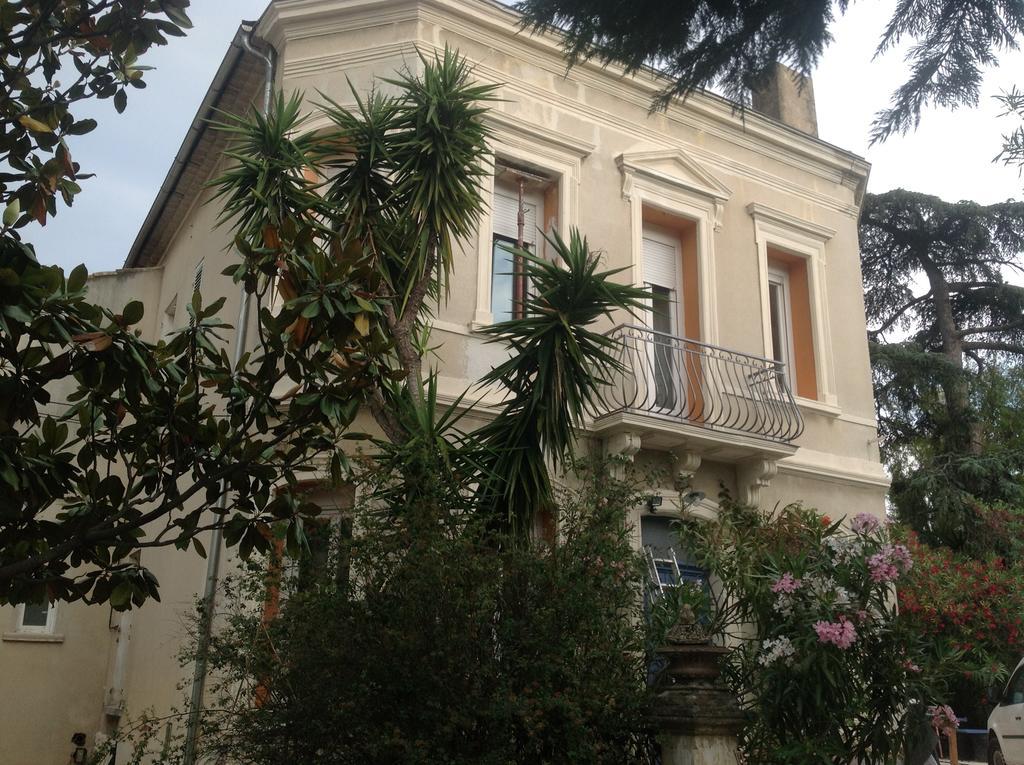 A L'Ombre Du Cedre Hotel Hyères Kültér fotó