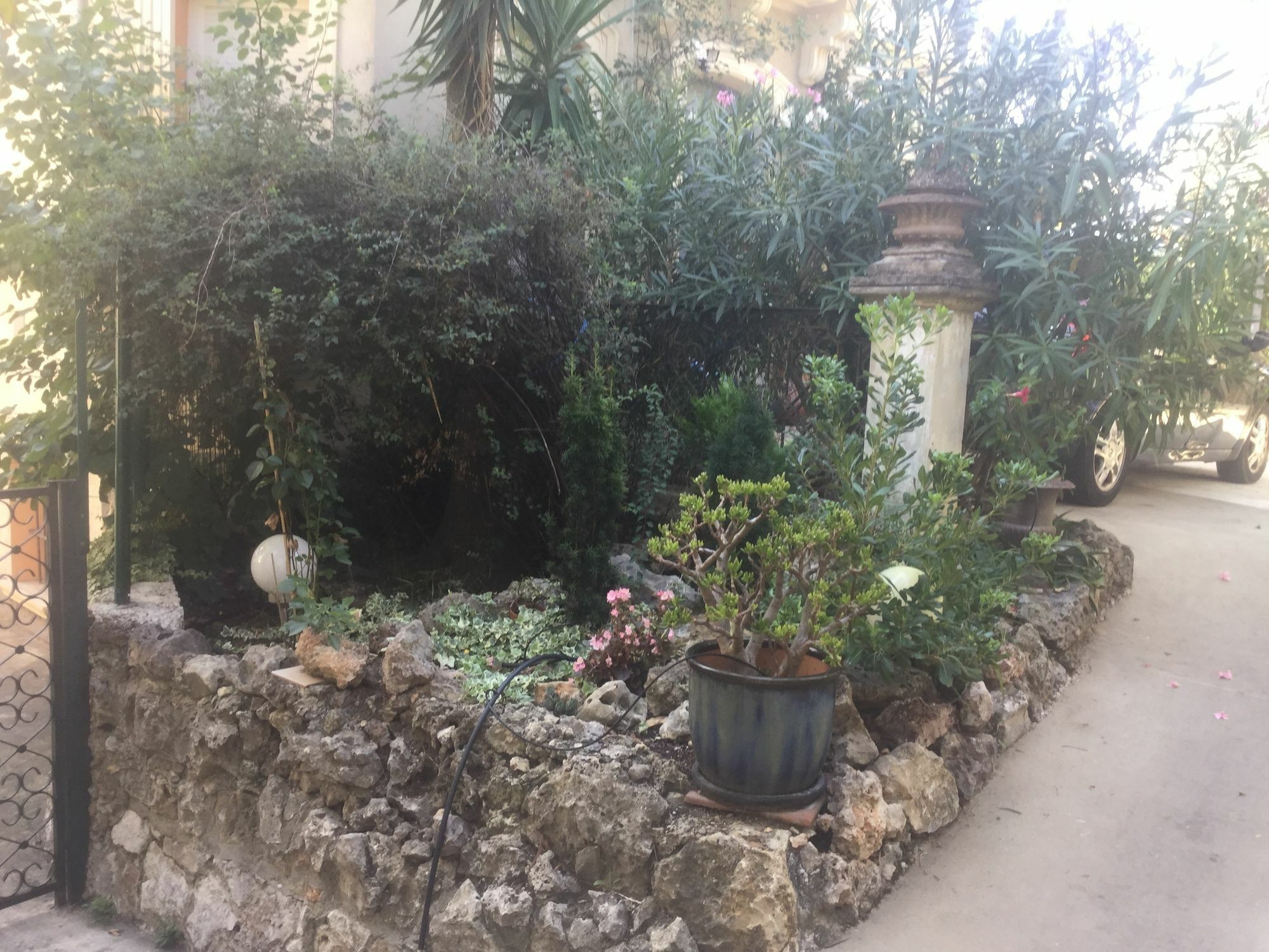 A L'Ombre Du Cedre Hotel Hyères Kültér fotó